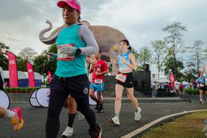 BIB: 
                            <button type="button" onclick="openModal(26528556)" class="btn btn-primary btn-sm float-right btn-popup" data-toggle="modal" data-target=".modal-high-quality">
                        <i class="fas fa-shopping-cart"></i> Add to Cart
                    </button>
                                            <button type="button" onclick="isThisMe(26528556, true)" class="btn btn-success btn-sm float-right btn-popup btn-isme hidden" data-toggle="tooltip" data-placement="bottom" title="นี่คือรูปของคุณใช่ไหม คลิกที่นี่เพื่อเอาเข้าอัลบั้ม">
                        <i class="fas fa-plus"></i> Add to album
                    </button>
                    <button type="button" onclick="isThisMe(26528556, false)" class="btn btn-warning btn-sm float-right btn-popup btn-isnotme hidden">
                        <i class="fas fa-ban"></i> Remove from album
                    </button>